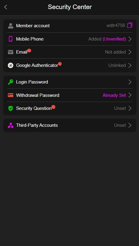 999 v security